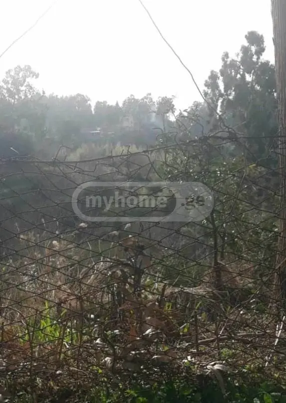 Agricultural Plot For Sale In Tsikhisdziri, In Kobuleti Municipality view 6
