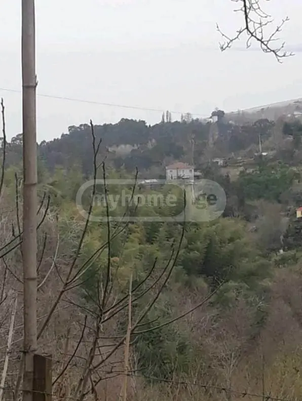 Agricultural Plot For Sale In Tsikhisdziri, In Kobuleti Municipality view 3