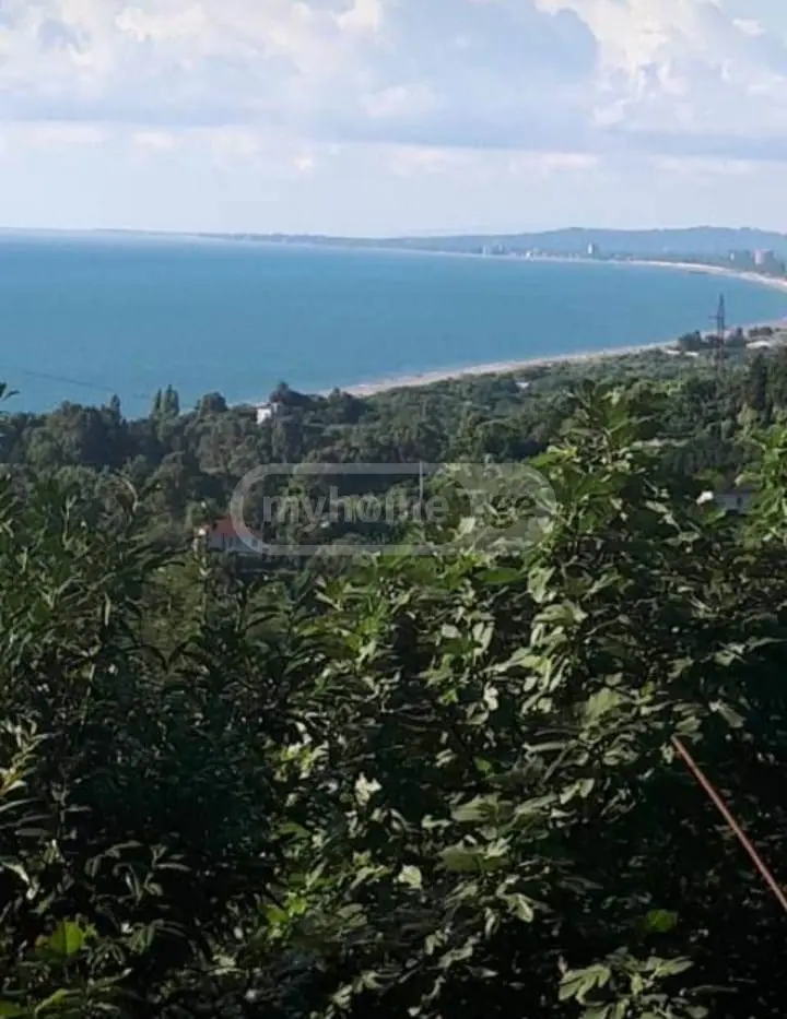Agricultural Plot For Sale In Tsikhisdziri, In Kobuleti Municipality view 7