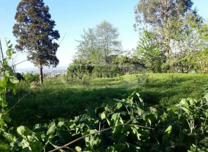 Agricultural Plot For Sale In Tsikhisdziri, In Kobuleti Municipality view 6