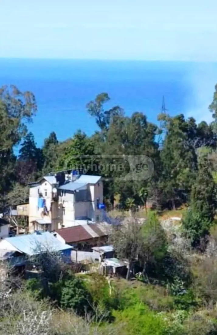 Agricultural Plot For Sale In Tsikhisdziri, In Kobuleti Municipality view 1