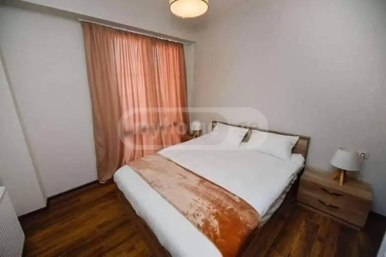 2 Room Hotel Daily Rent In Bakuriani view 5