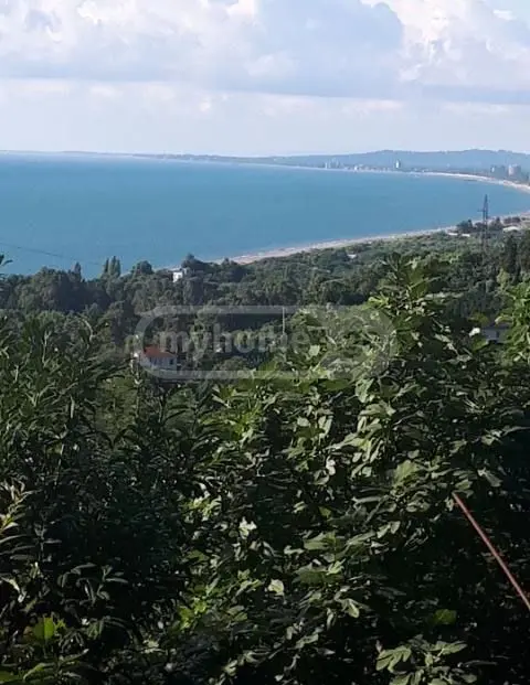 Agricultural Plot For Sale In Tsikhisdziri, In Kobuleti Municipality view 5