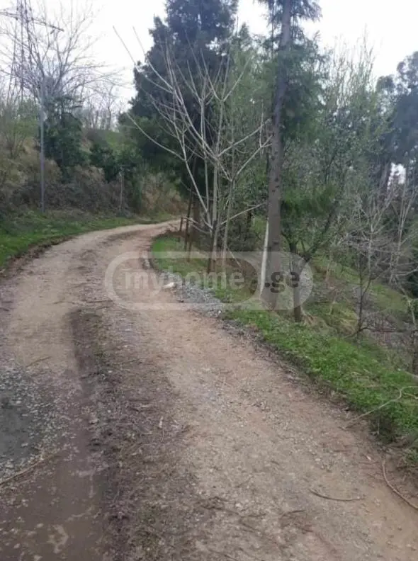 Agricultural Plot For Sale In Tsikhisdziri, In Kobuleti Municipality view 8