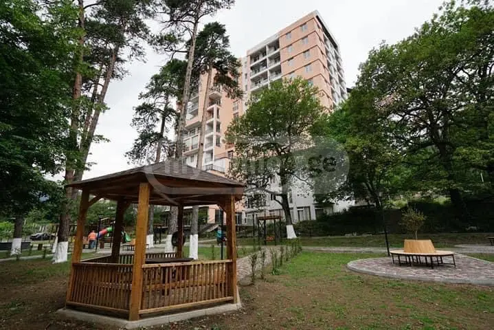 Office Commercial Area For Rent In Borjomi view 1