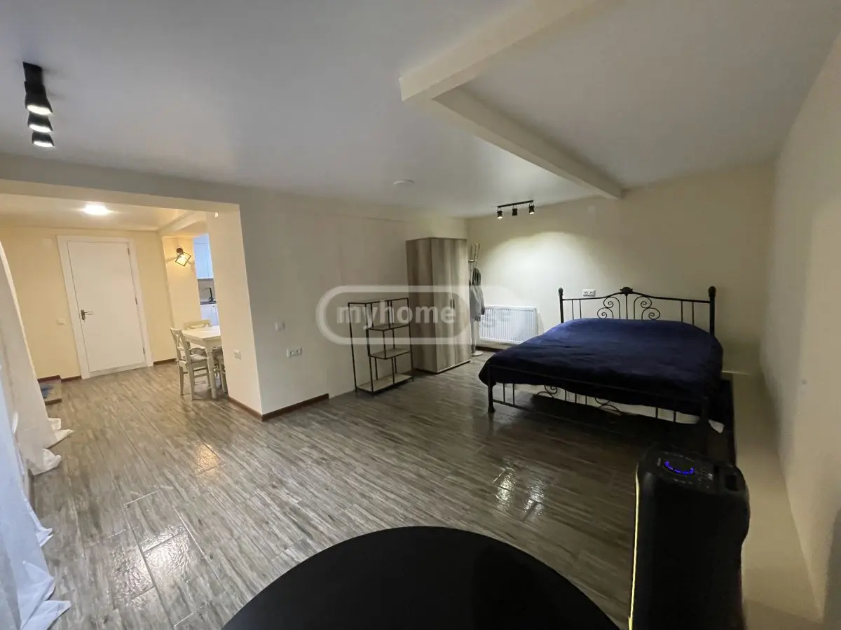 1 Room Private House Daily Rent In Vake view 4