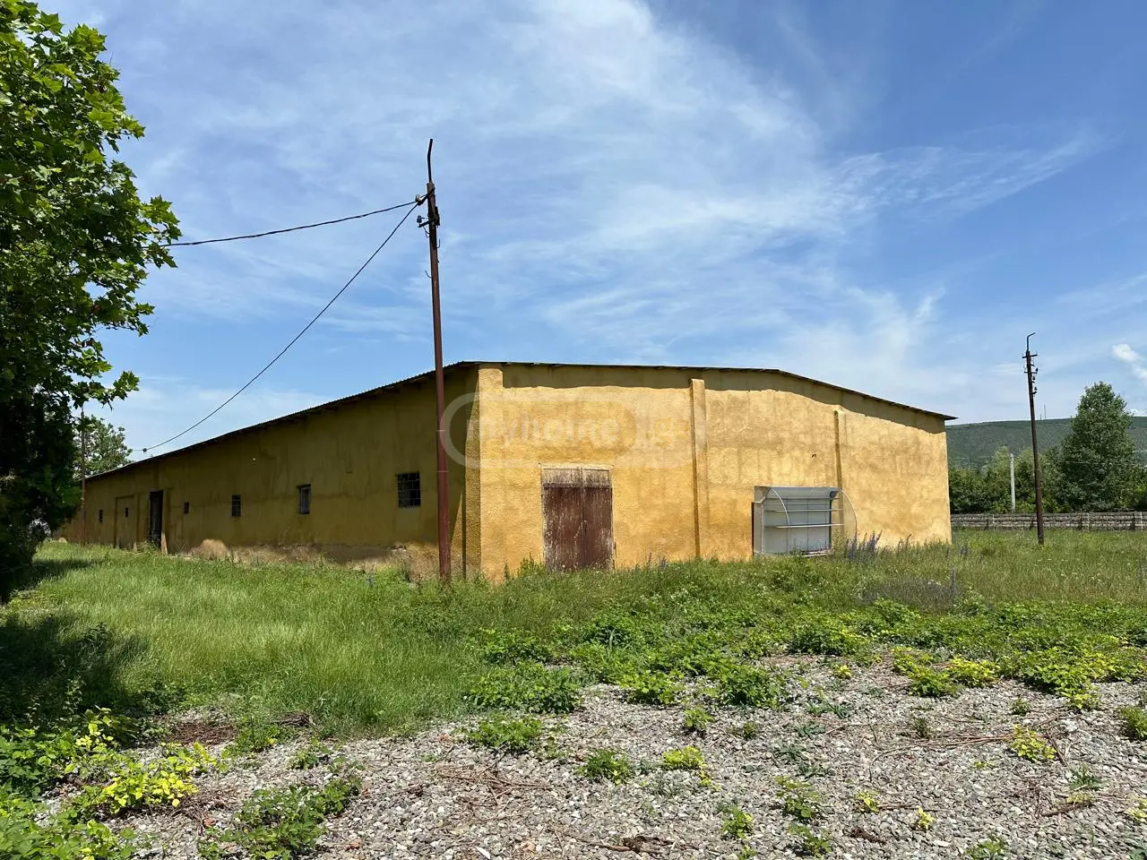 Universal Commercial Area For Rent In Okami, In Kaspi Municipality view 10