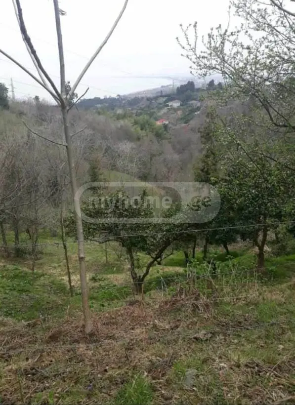 Agricultural Plot For Sale In Tsikhisdziri, In Kobuleti Municipality view 9