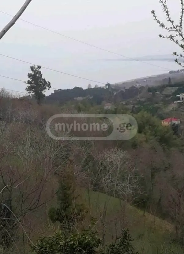 Agricultural Plot For Sale In Tsikhisdziri, In Kobuleti Municipality view 4