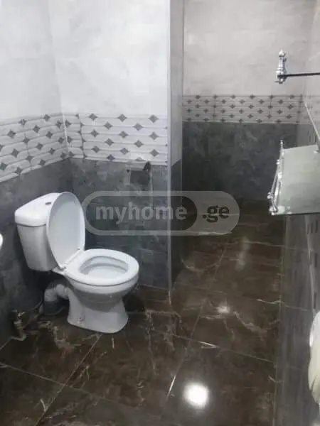 4 Room Private House For Rent In Zugdidi view 7