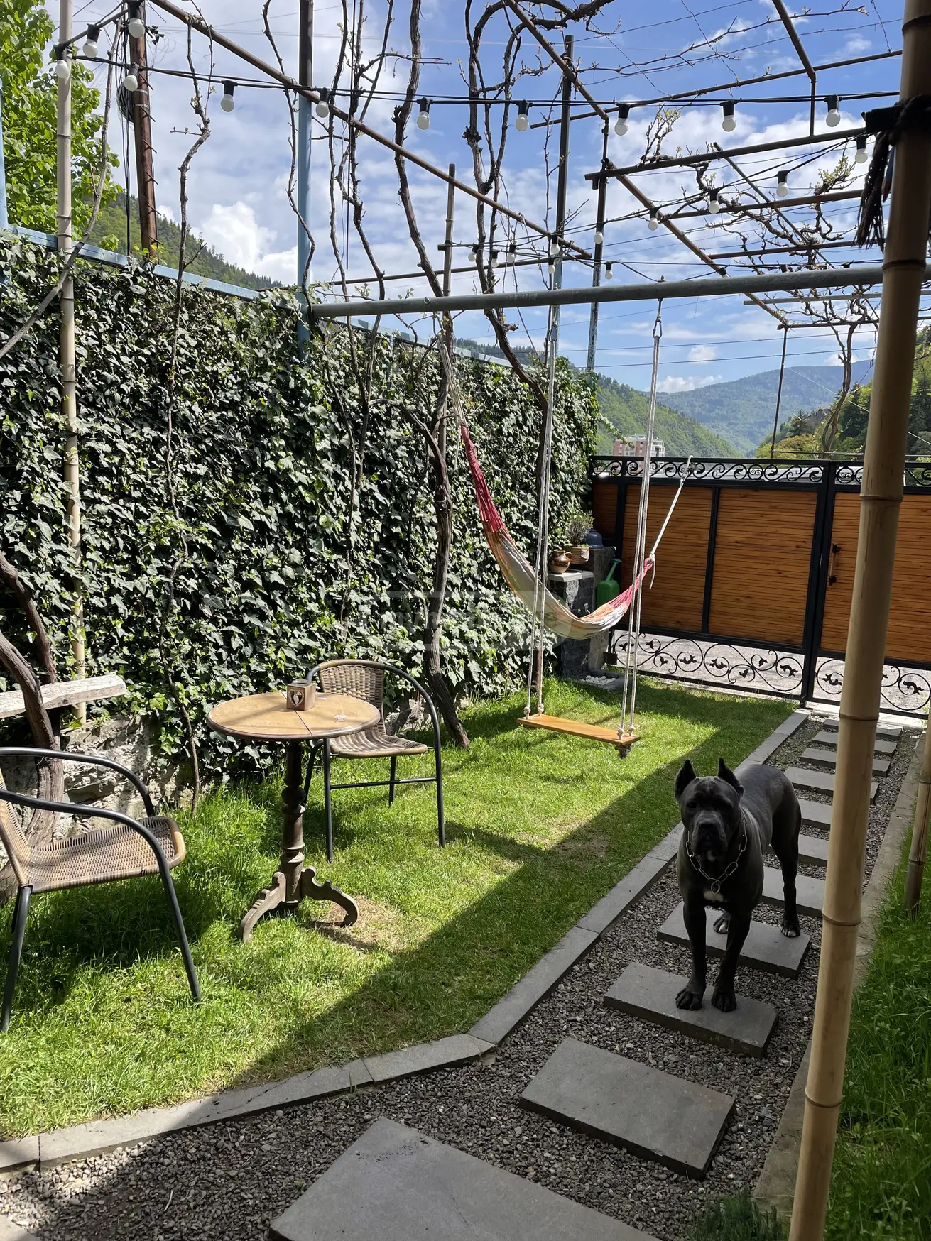 2 Room Apartment Daily Rent In Borjomi view 8